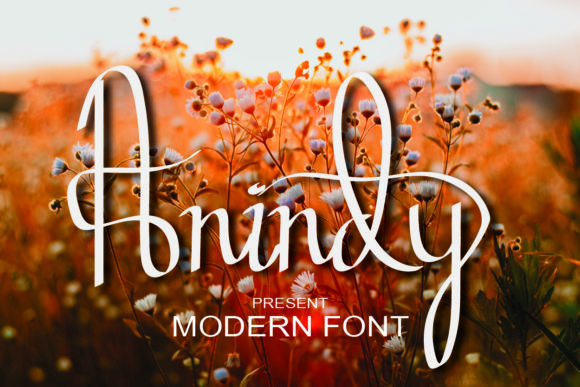Anindy: A Versatile Script Font for Modern Designers