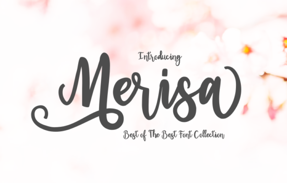 Merisa: The Script Font That Elevates Your Campaign Design